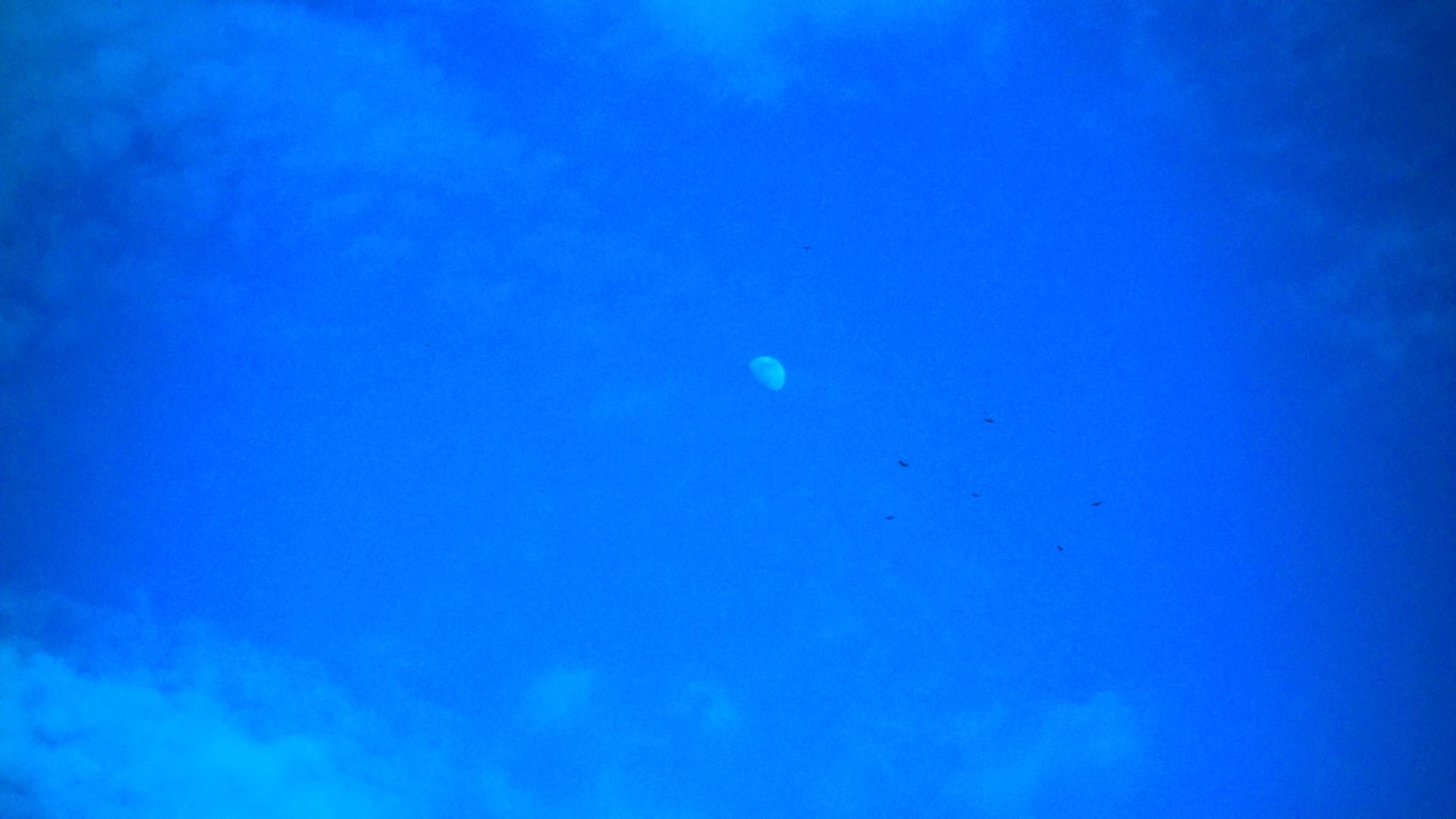 A serene sky with a soft gradient from deep to light blue, featuring a pale moon visible in daylight and several small birds flying in the distance.